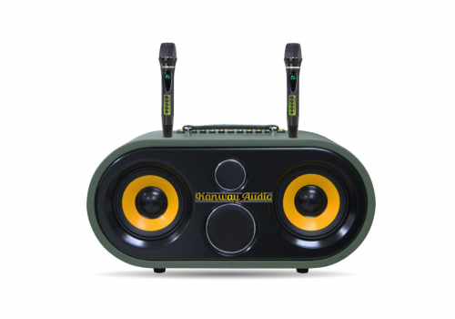 LOA  XÁCH TAY CAO CẤP PRO 652