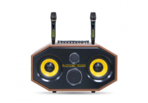 LOA XÁCH TAY MODEL K620