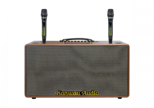 LOA XÁCH TAY 2 BÁT 20 KANWAY MODEL K810